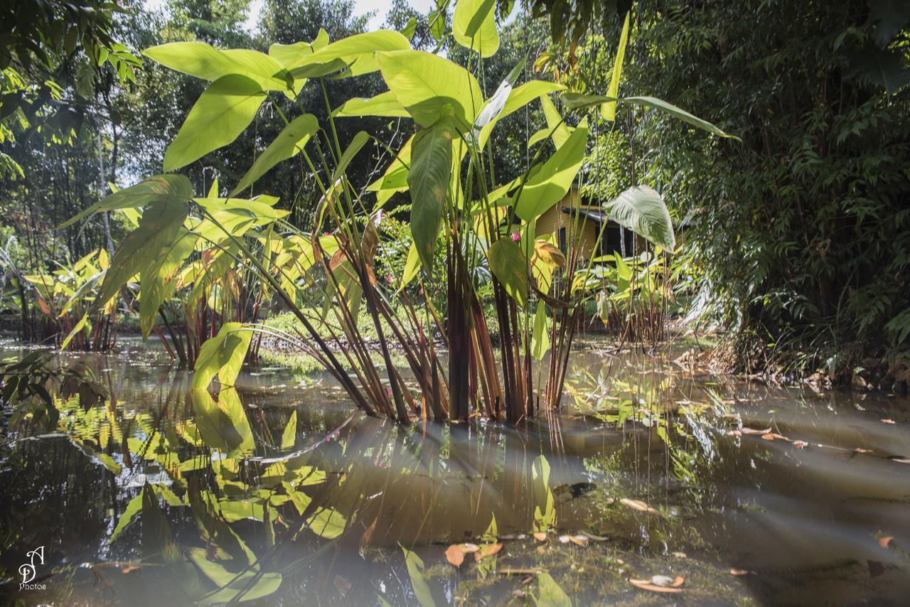 Garden of Joy Hotel Koh Chang Buitenkant foto