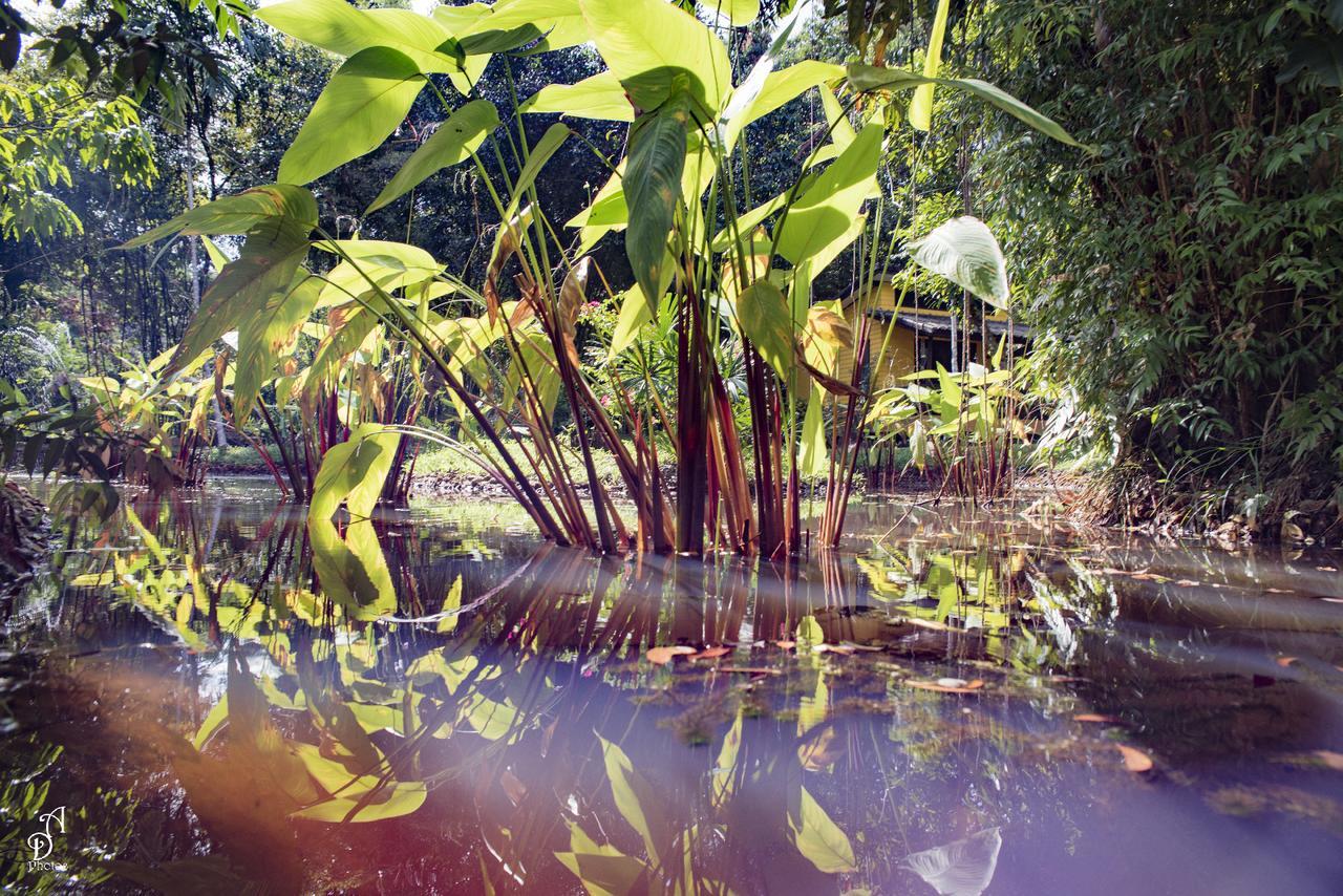 Garden of Joy Hotel Koh Chang Buitenkant foto